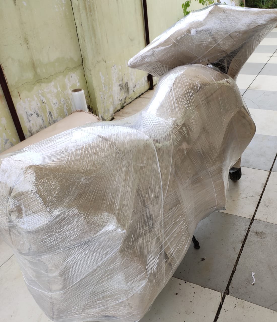 WhatsApp Image 2023-01-31 at 13.52.24